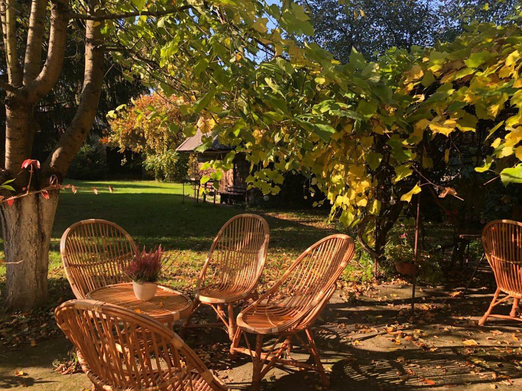 studio jogi warszawa, joga warszawa, joga centrum, joga mokotów, joga metro, pas do jogi, wyjazdy z jogą, joga kręgosłupa, joga oddech, pranajama, joga studio medytacja, joga dla początkujących